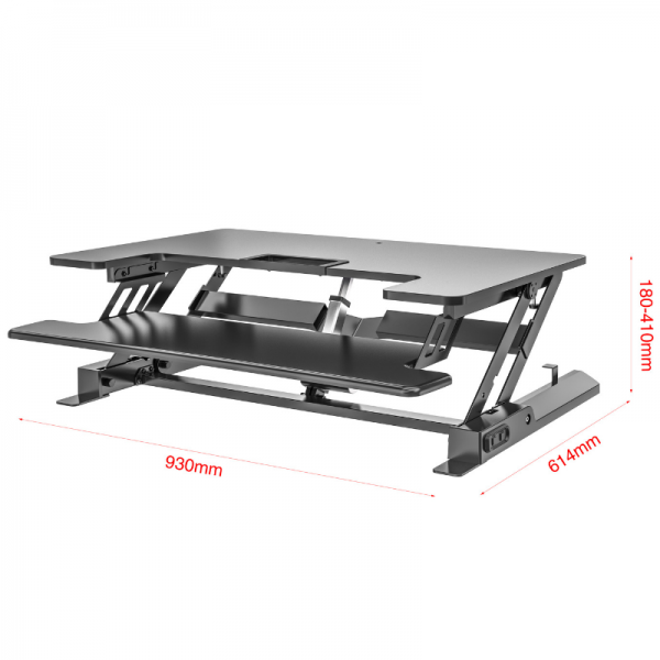 Ergonomic Electric Standing / Sitting Desk LD02E - CASIII Black